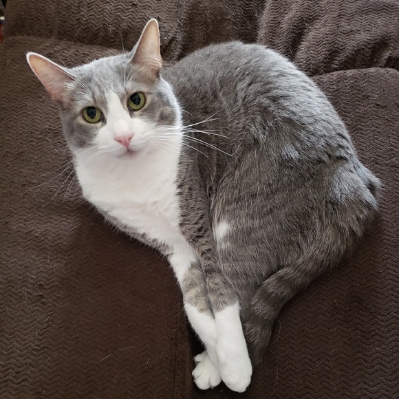 Meet your Posher, Karen - Picture 1 of 1